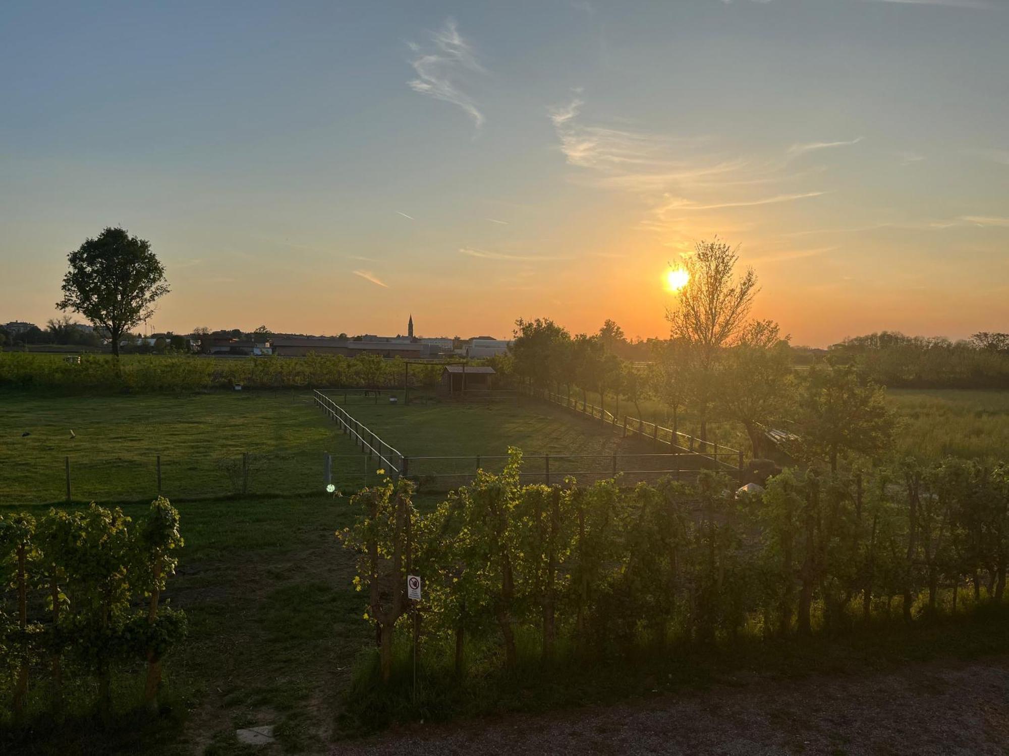 Séjour à la ferme Al Botteniga