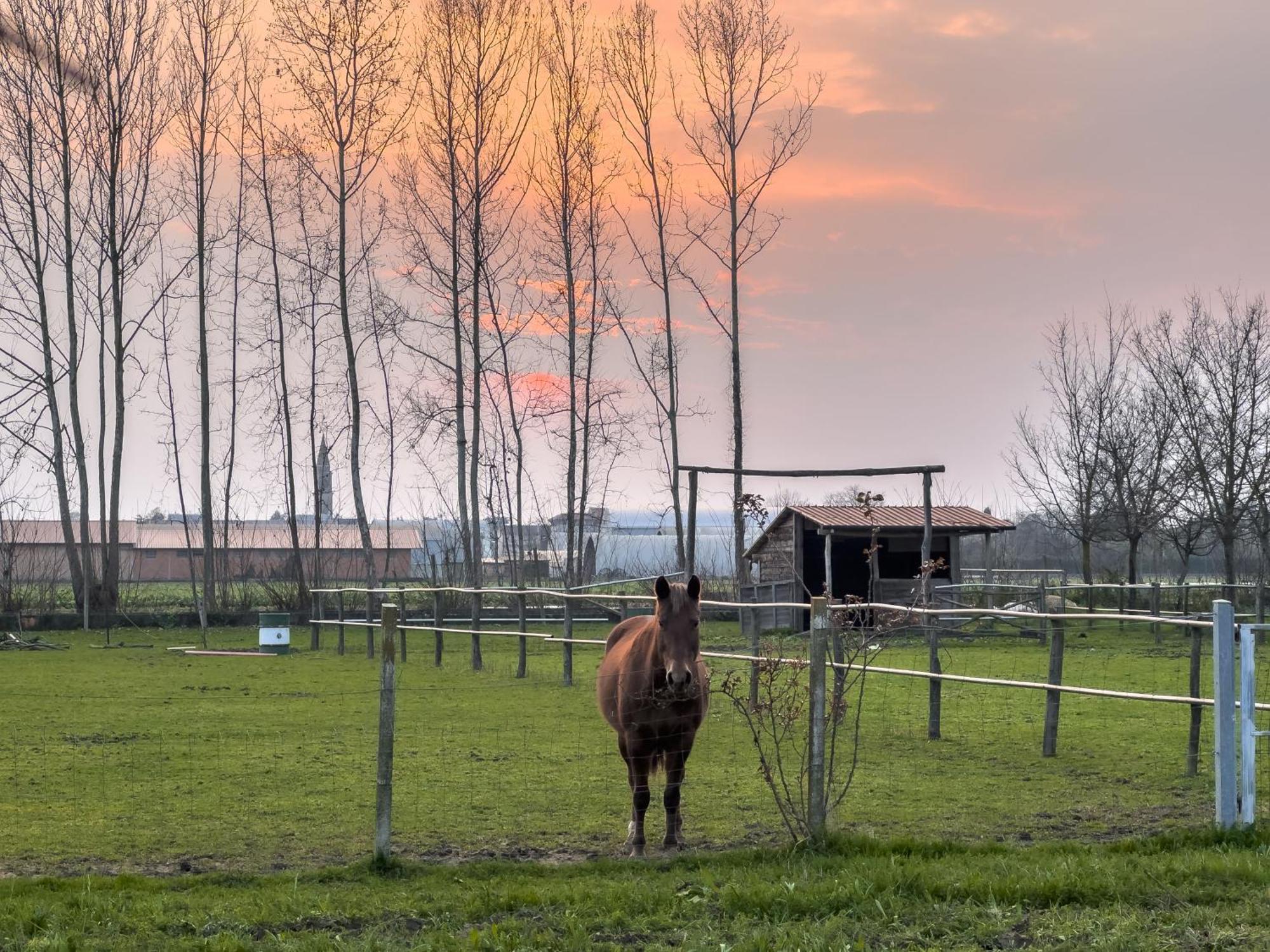 Séjour à la ferme Al Botteniga *